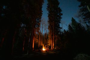 Image post by @anthonypolitano on Instagram