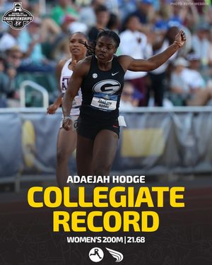 Image post by @dyestat on Instagram