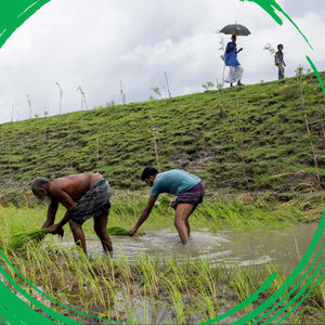 Image post by @worldbank on Instagram