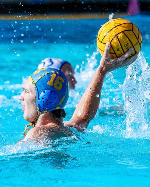 Image post by @uclamwp on Instagram