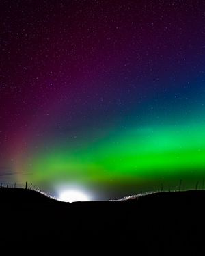 Image post by @maxx.sene on Instagram