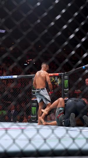 Video post by @ufc on TikTok