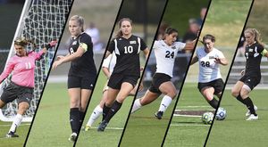 Image post by @gobonnies on Instagram