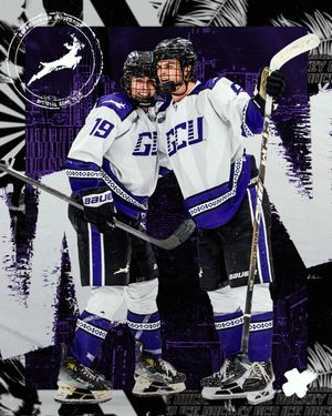 Image post by @lopeshockey on Instagram