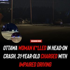 Image post by @shottawa.tv on Instagram
