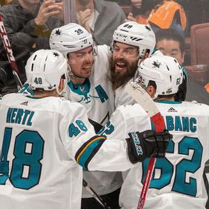 Image post by @sanjosesharks on Instagram