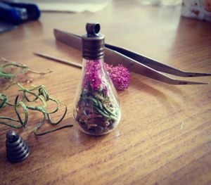 Image post by @leafyaffair on Instagram