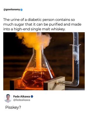 Image post by @gravitonomy on Instagram