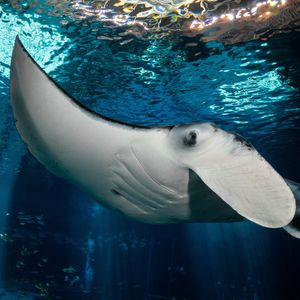 Image post by @discovery on Instagram