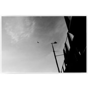 Image post by @kim_sola on Instagram