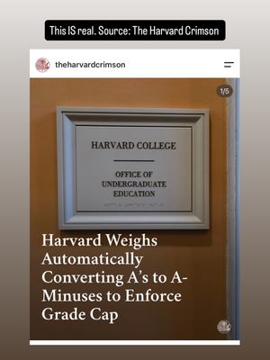 Image post by @harlancohen on Instagram