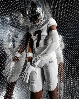 Image post by @goducks on Instagram