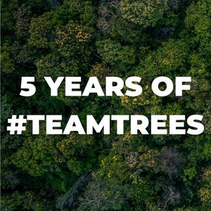 Image post by @teamtrees on Instagram