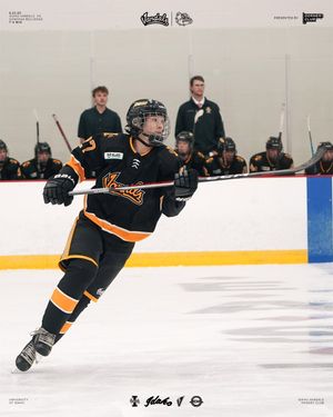 Image post by @vandalhockey on Instagram