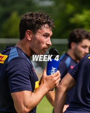 Image post by @harlequins on Instagram