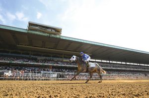 Image post by @godolphin on Instagram