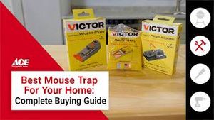 Video post by @acehardware on YouTube