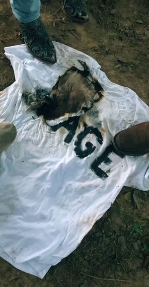 Video post by @annarayejonesfilms on TikTok