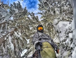 Image post by @johnnybananas on Instagram