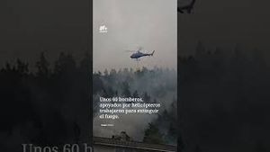 Video post by @nmasunivision on YouTube
