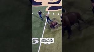 Video post by @cfbonfox on YouTube