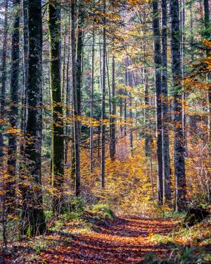 Image post by @cristan.nature.photography on Instagram