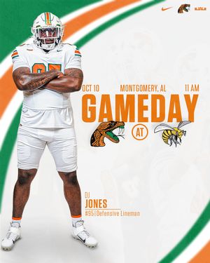 Image post by @famufb on Instagram