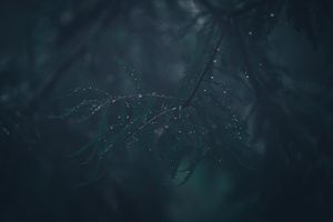 Image post by @brandonlarochelleproductions on Instagram