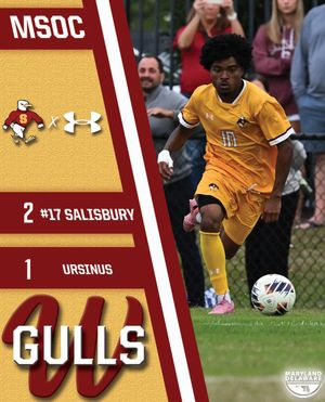 Image post by @suseagulls on Instagram