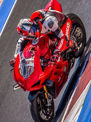 Image post by @panigalers on Instagram