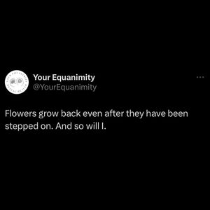 Image post by @your_equanimity on Instagram