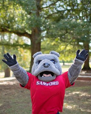 Image post by @samfordsports on Instagram