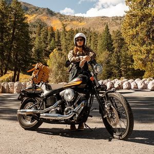 Image post by @ladylassen on Instagram