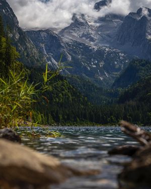 Image post by @cristan.nature.photography on Instagram
