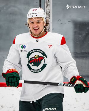 Image post by @minnesotawild on Instagram