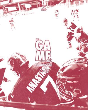 Image post by @alabamahockeyd2 on Instagram