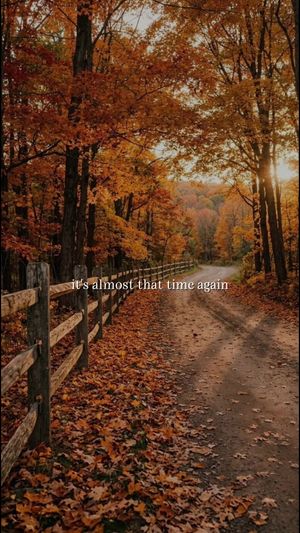 Video post by @spirocoded on TikTok