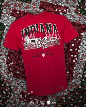 Image post by @theindianashop on Instagram