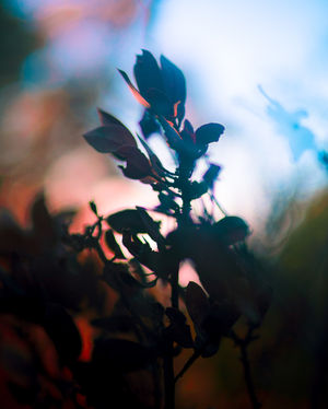 Image post by @codyburkhardt on Instagram