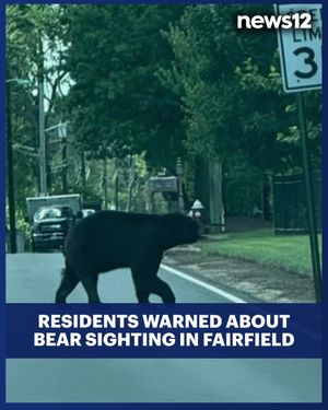 Image post by @news12nj on Instagram