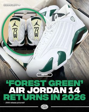 Image post by @insanesneaker on Instagram