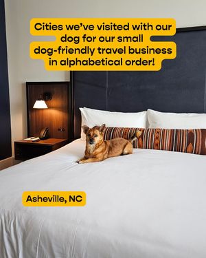 Image post by @jetsetpets on Instagram