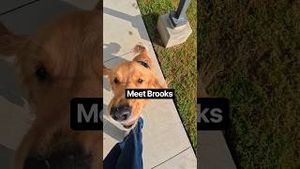 Video post by @clemsonuniversity on YouTube