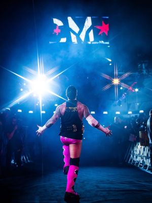 Image post by @thewrestlingclassic on Instagram