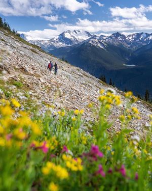 Image post by @whistlerblackcomb on Instagram
