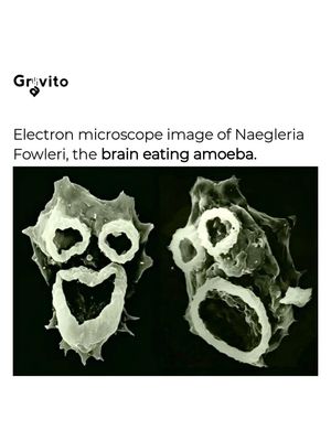 Image post by @gravitonomy on Instagram