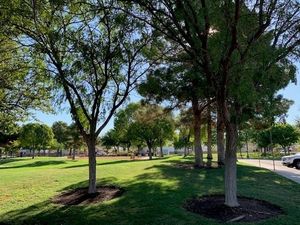 Image post by @cityofhenderson on Instagram