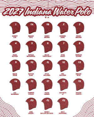 Image post by @indianawpolo on Instagram