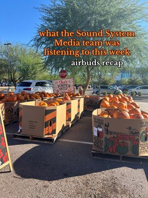 Video post by @thesoundsystemmedia on TikTok