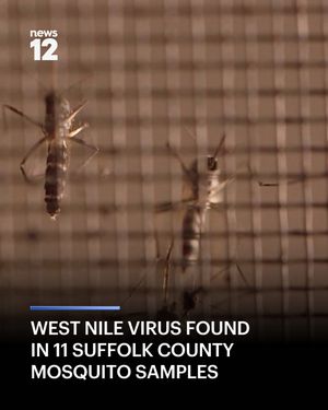 Image post by @news12li on Instagram